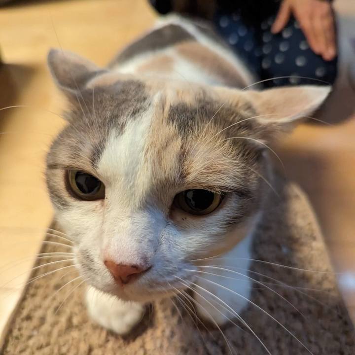 82aaecfe eb4c 4511 b3c8 51d144def7d8 1702009281286