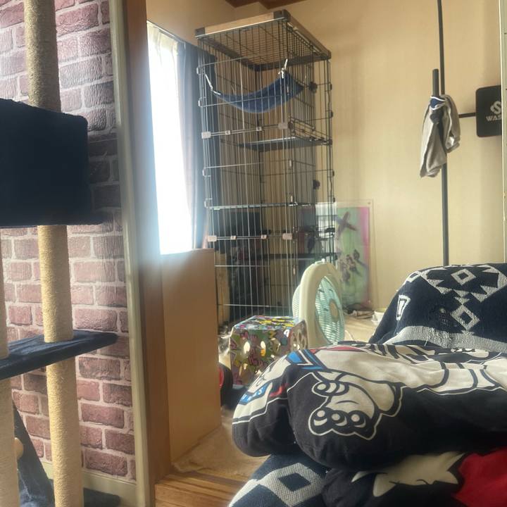 82ab6f83 7ad2 45ca a04d a75099065fb4 1727226801211