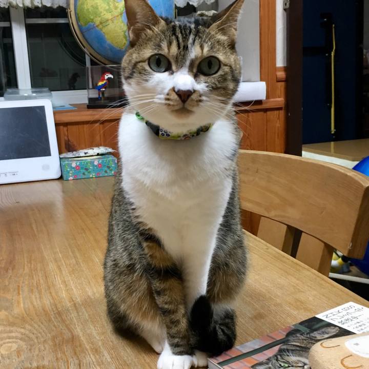 82ab6fab fee9 49a5 85bd aab48be0d8b3 1517792029807