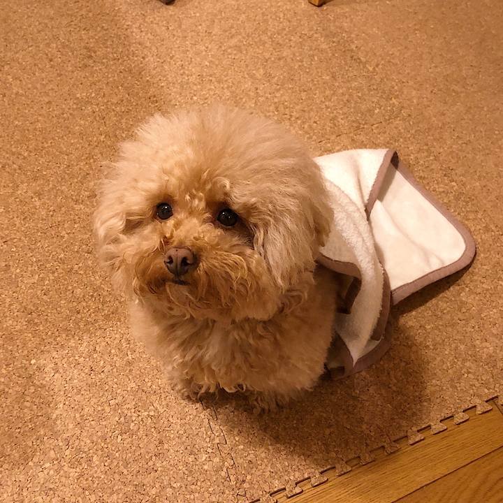 82ab8042 2d5e 4f6f 9d07 10063588adf6 1554897986513