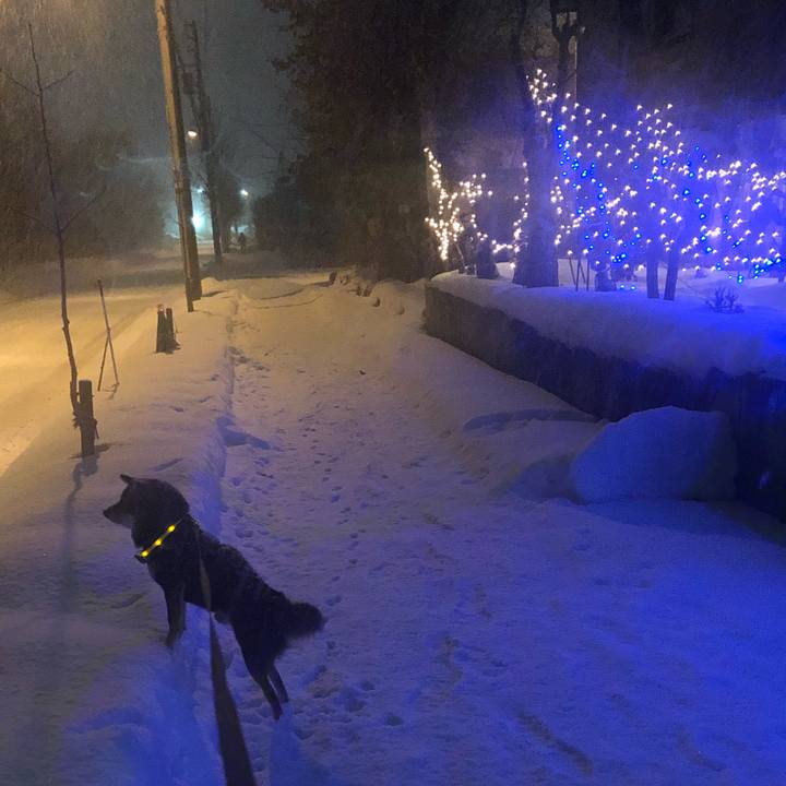 82ab9f49 72d0 483a 8f82 4ad9643ba70b 1545124811839