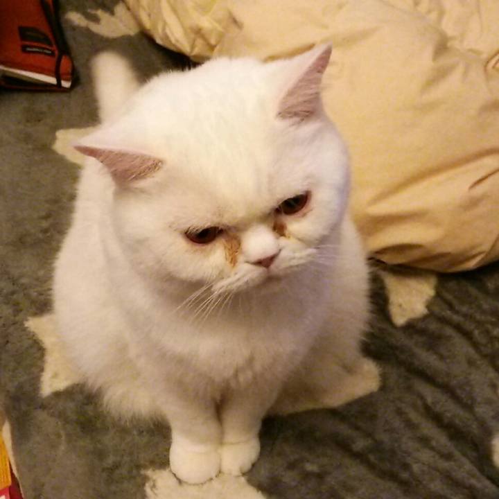 82abace9 9e10 4e20 85de 42f87d67255c 1549059416255