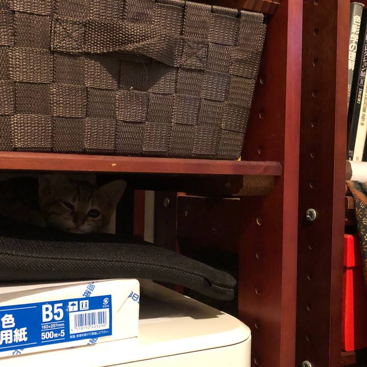 82abb5cf 60e2 407a 8a0a d1ce79ba4702 1630502720452