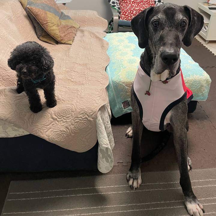 82abcee4 65fe 4863 97be 0b03fe18f740 1630624527426