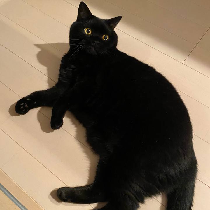 82ac1591 2e27 4d9c bd69 d53ad2a7f33d 1726652434864