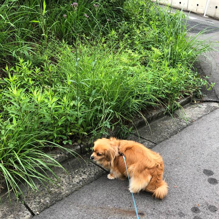 82ac3b6f 7bbb 4a56 b298 b75707b6f0a1 1563669549683