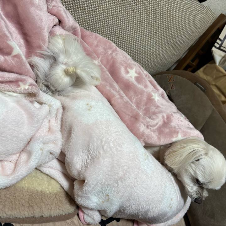 82ac7f2d 86c0 4306 a79d 09eaa03a61ab 1739526566872