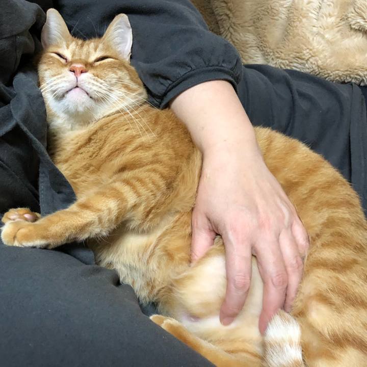 82acb546 0869 495c 921d 9c69ba5bd11a 1608633268017