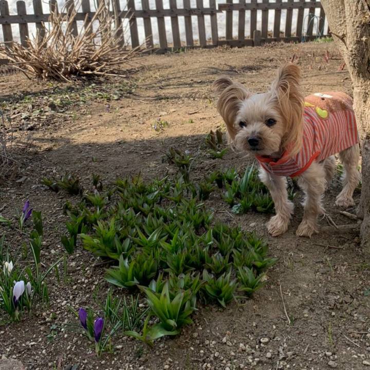 82acb9bb 1f7a 4826 a64a bad1d6ac8f24 1618564374888