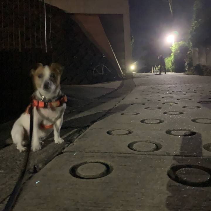 82ace47d 2c43 417e b65a 5c5fd979df78 1632141888479