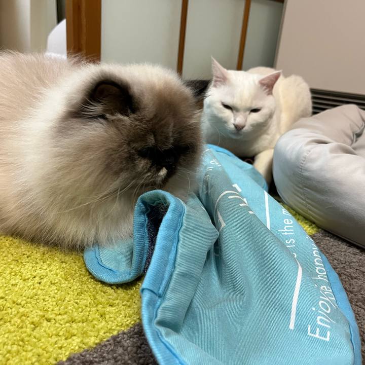 82acec68 8701 4292 af30 ee2a025f1e55 1702297364207