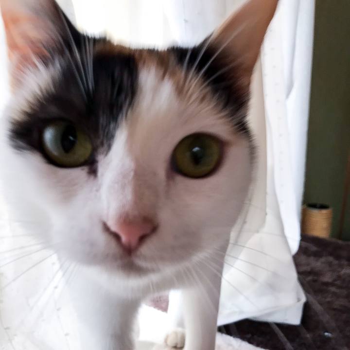 82ad02d5 1cc1 4783 ab3f 33065b6e6cfc 1525486100490