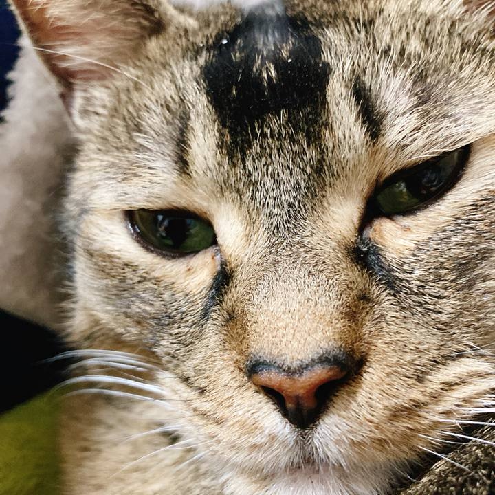 82ad1908 904c 42d0 a174 0ff84f3d7edc 1734251668152