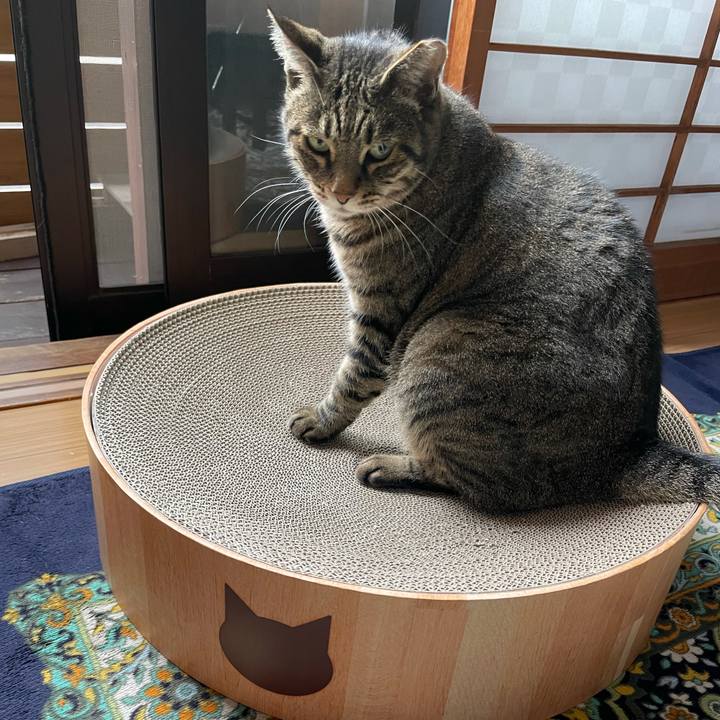 82ad7a8a 5758 4e9e b30f 394d68027532 1634085306302