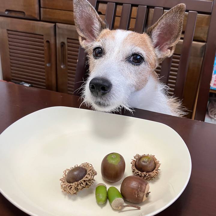 82ad84f1 da55 4455 9dbe d2c05443bbe5 1726448375551