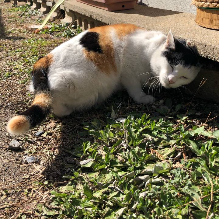 82ad8f33 cb64 4000 9eff 12e189b1bd06 1611842109315