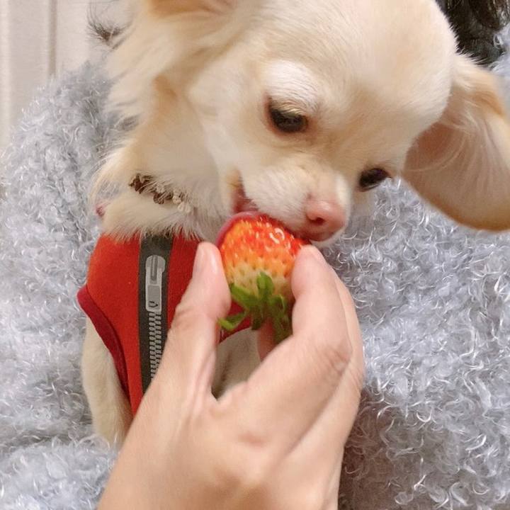 82ada5c5 5977 4bf7 b3c7 4bce9f92eefc 1611551021694