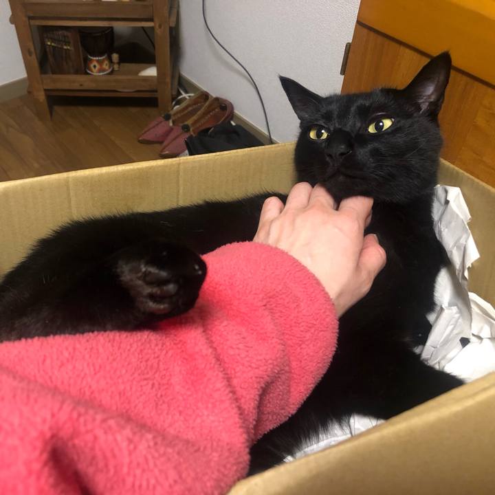 82adbbe8 d07a 4993 909f ae8f7235b2f1 1652534407703