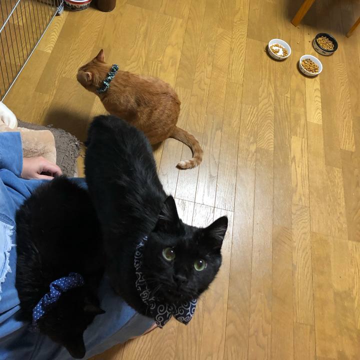 82ae7e15 4fad 4a10 be1c 17b9bf160d64 1553777217358