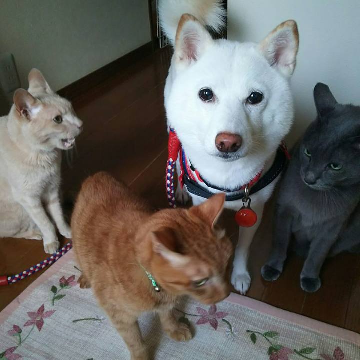 82aec202 c501 4305 abaf 754403a94352 1598087213935