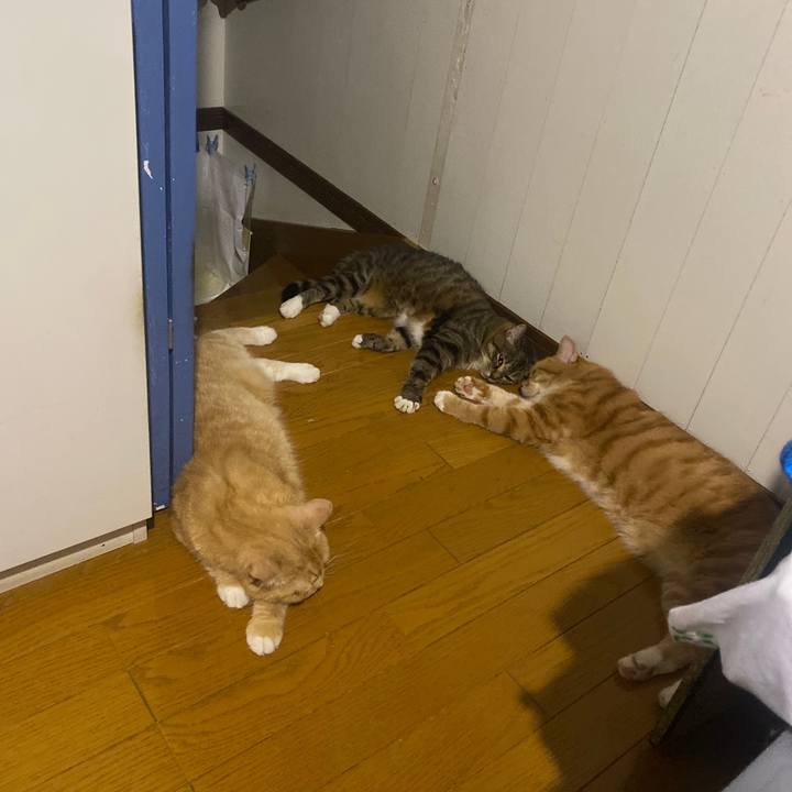 82aef10d 8299 4eac b141 67ce0fbd3e26 1660659219647