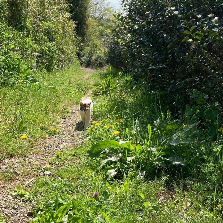 82af2307 dbcb 439c acf1 7621b0e27c55 1617875691896