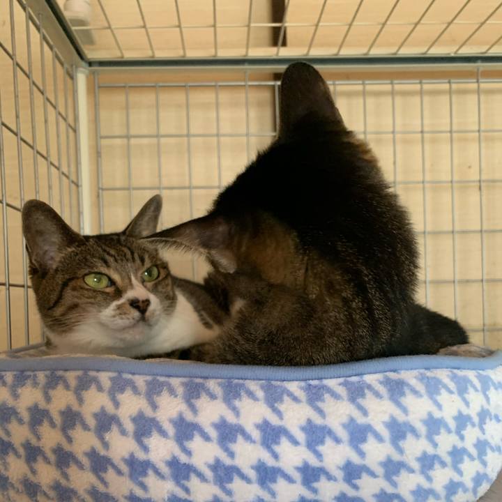 82af48ea b42c 4978 a794 fc4ce124a142 1602465863618