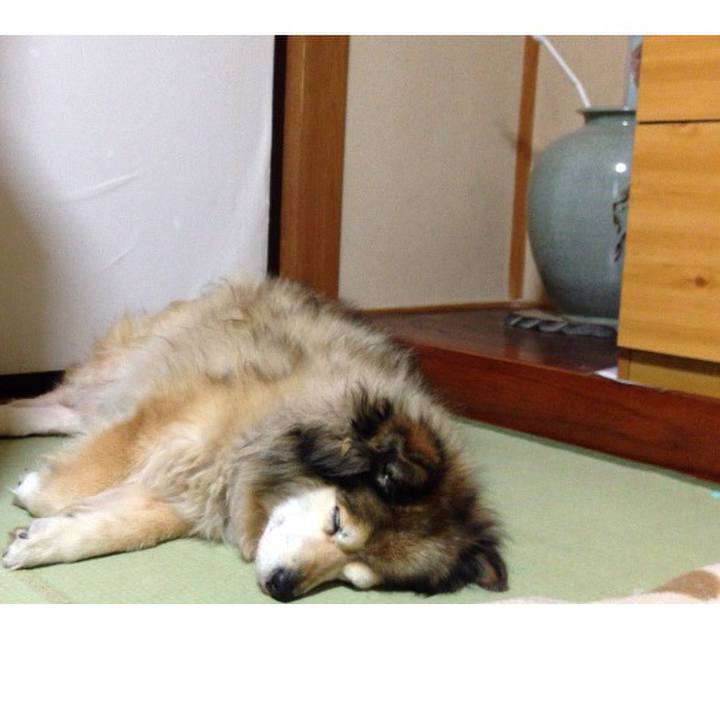 82afae8a d144 4843 b6a7 31d03301114b 1584897772570