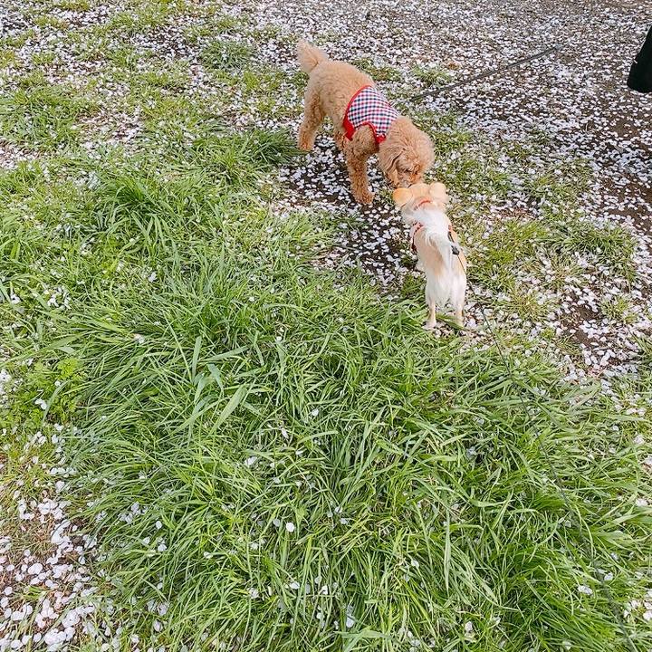 82afcf09 b310 4054 95a8 b5c859903040 1617095887017