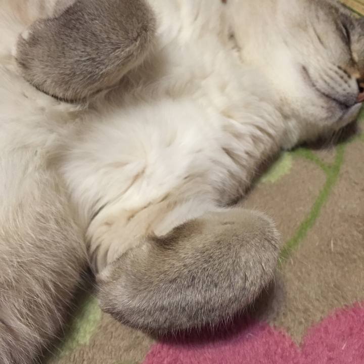 82b03d97 b934 4ff7 914f 96294bd2d044 1521464632628