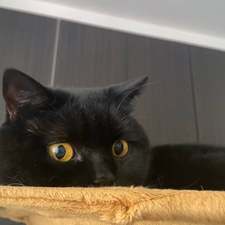 82b09749 1128 4c35 a059 2eab7447d689 1766549737862