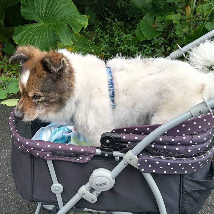 82b09b9b d7cd 4904 8ada fa9607e54263 1608530913754