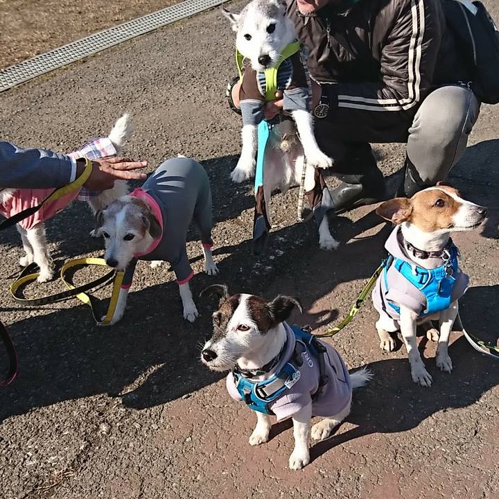 82b10bca 8c82 4b04 852f 6865f8e96ba0 1547358973328