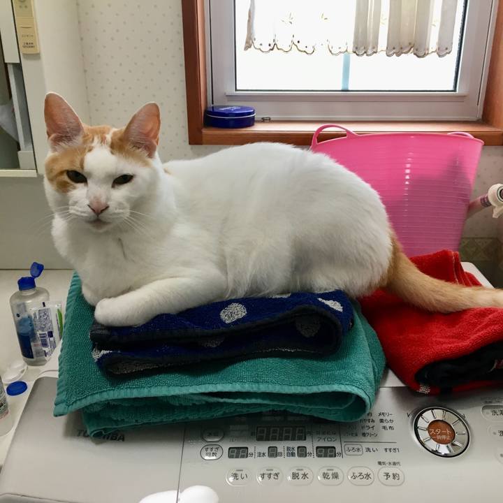 82b10c57 cfcc 4a29 8a23 4c3a8bb7af64 1528803592141