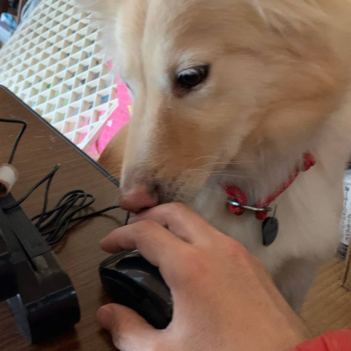 82b16d50 43be 4325 93cc 38da54ed7147 1646625438430