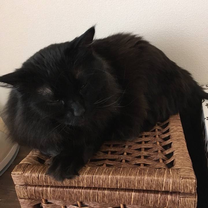 82b18f79 b279 4ac8 acf1 106c070c6f56 1551926470724