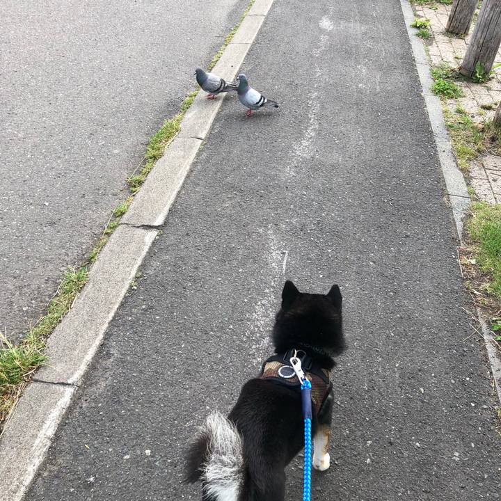 82b1bb34 8812 4f6f 962a 9381d8f2da00 1529964947644