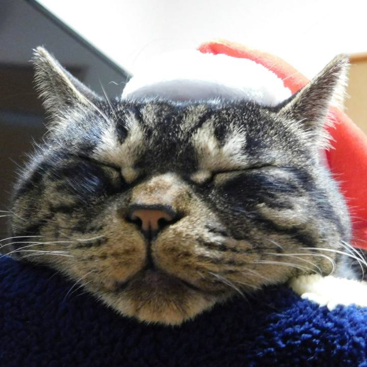 82b1c868 673c 4b89 9215 d6608b50a3eb 1545396292390