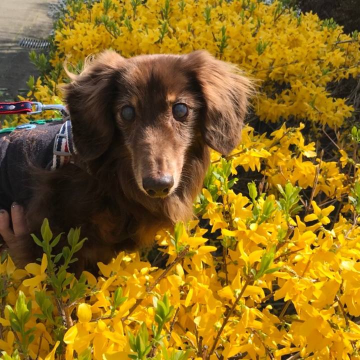 82b1f69e 2490 49bb be16 ac3b2cb726ed 1522551595057