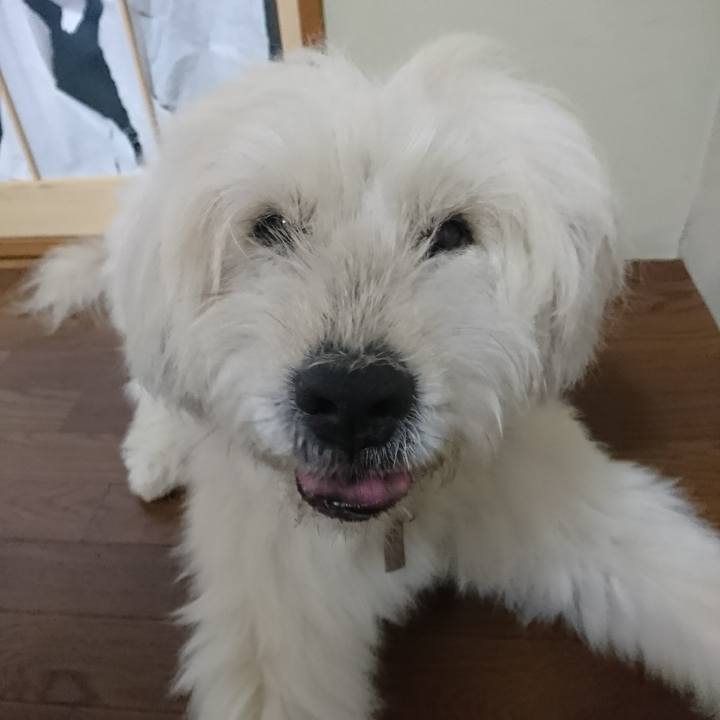 82b1fa47 e5f8 4625 9581 43b1d0abf385 1608537431382