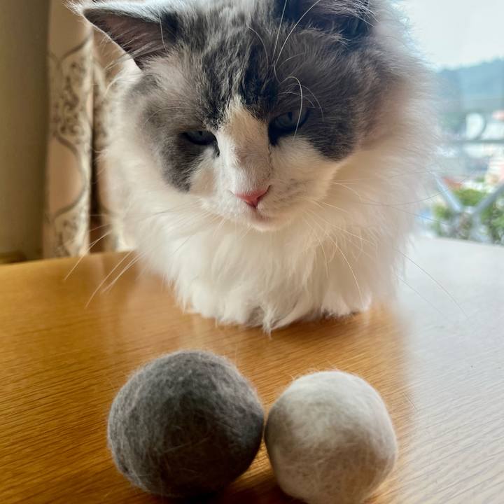 82b21259 3de1 424e bb43 d9cf45d32d3a 1686125980794