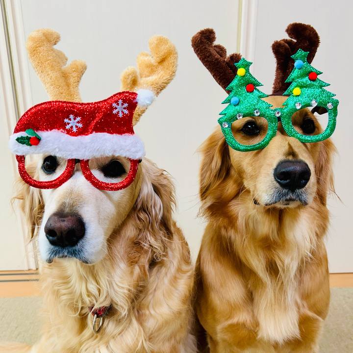 82b228b2 9cc1 45aa 8d4a f5a4320ff31e 1762820520286