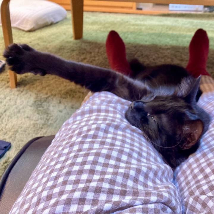 82b22d16 5c52 4b68 aed1 f728f726047a 1731393171463