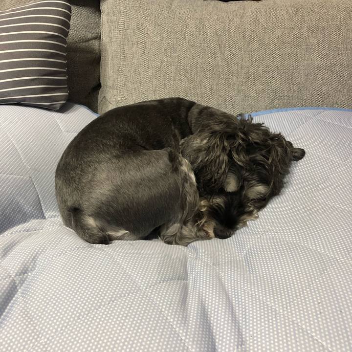 82b262ed 0f60 4017 aff8 a3e3fd87b150 1602155717170