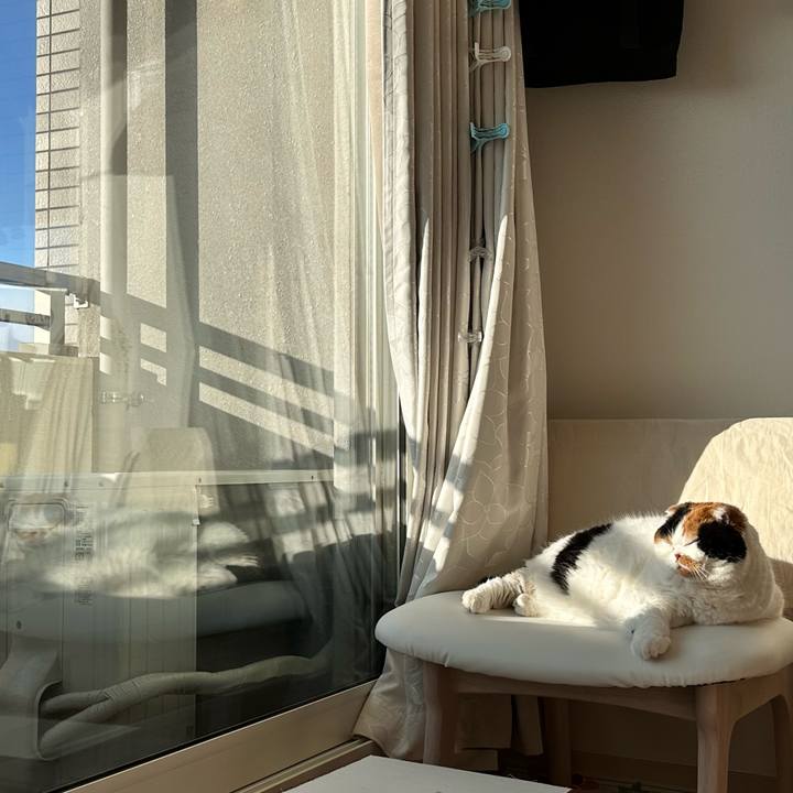 82b2685e 716d 43c7 8a29 9986c89c37d4 1699657807046