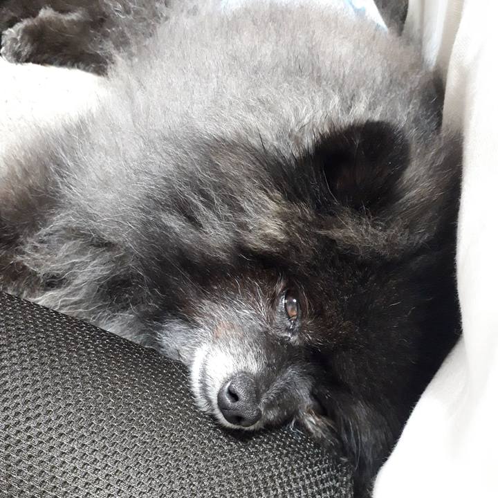 82b270e8 8d88 46bb bcfa 815cf88affd0 1546993362659