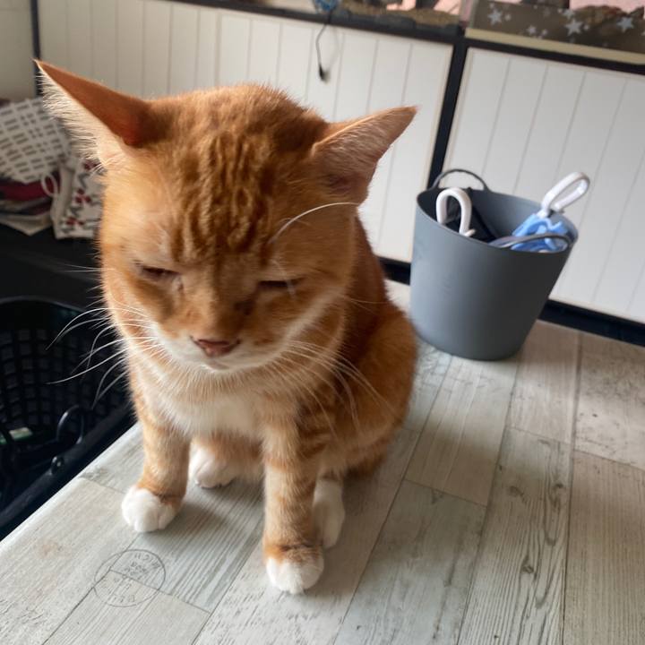 82b27cc3 4d90 4c7b 909e 1354ac21e00a 1600399142641