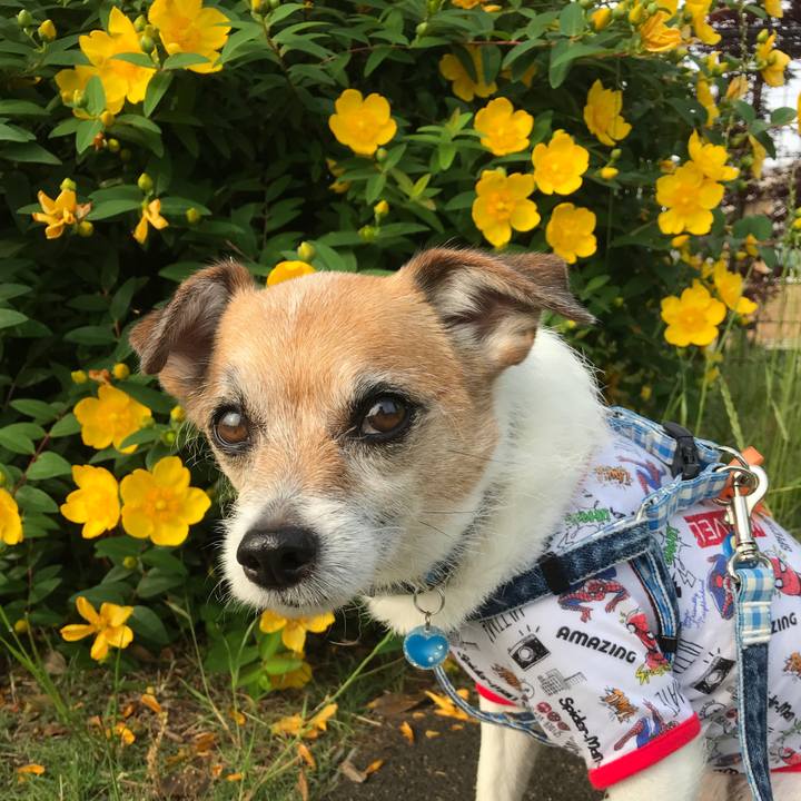 82b2944a 19ad 4d54 b5d6 42895b9b5c23 1591318718974