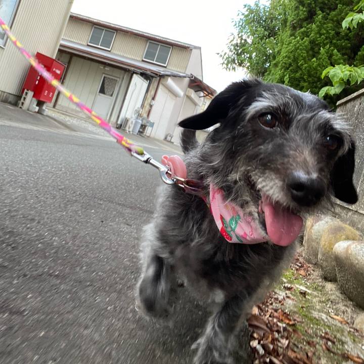 82b2a05f ee2e 42a1 9c3a acf9538a6b91 1659569526448