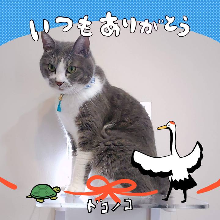 82b2c7f6 e307 4709 a47b e782d8659cb3 1726836196637